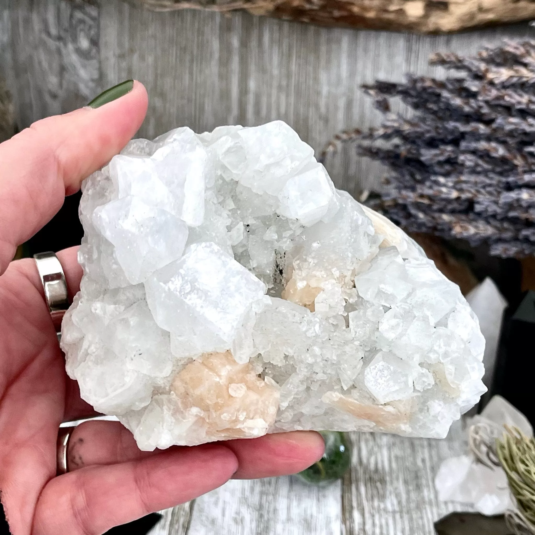 Apophyllite with Stilbite Crystal Cluster / FoxlarkCrystals