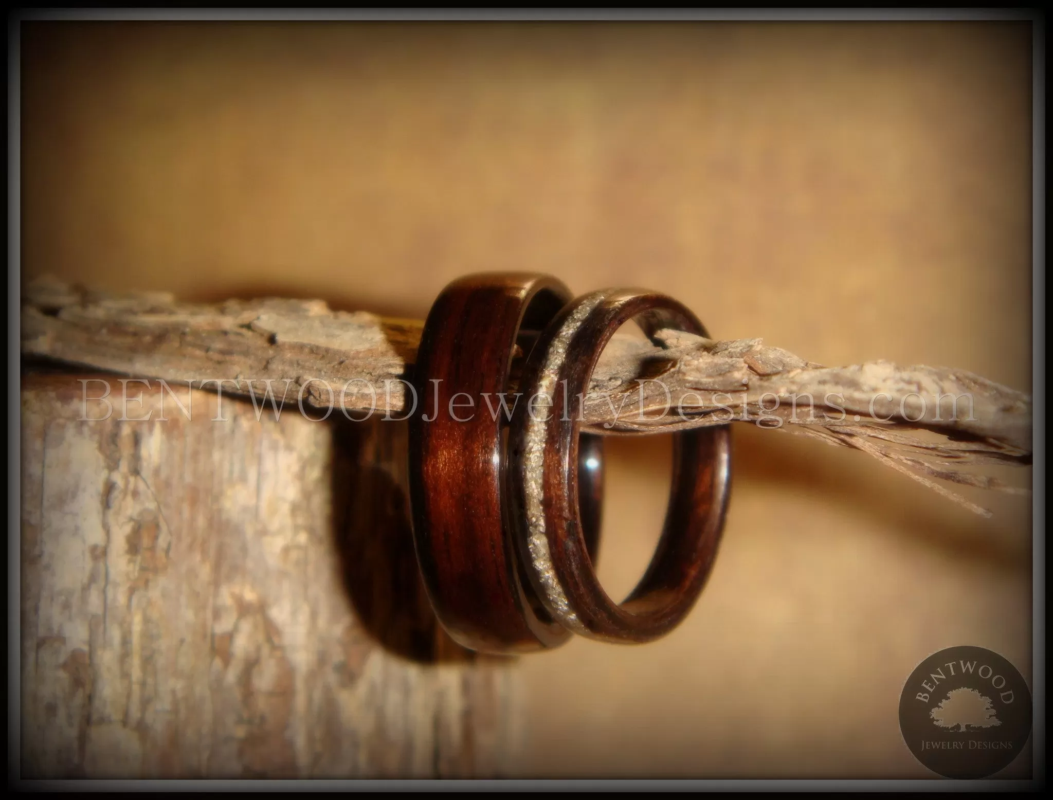 Bentwood Rings Set - Ebony Wood Ring Set with Silver German Glass Inlay