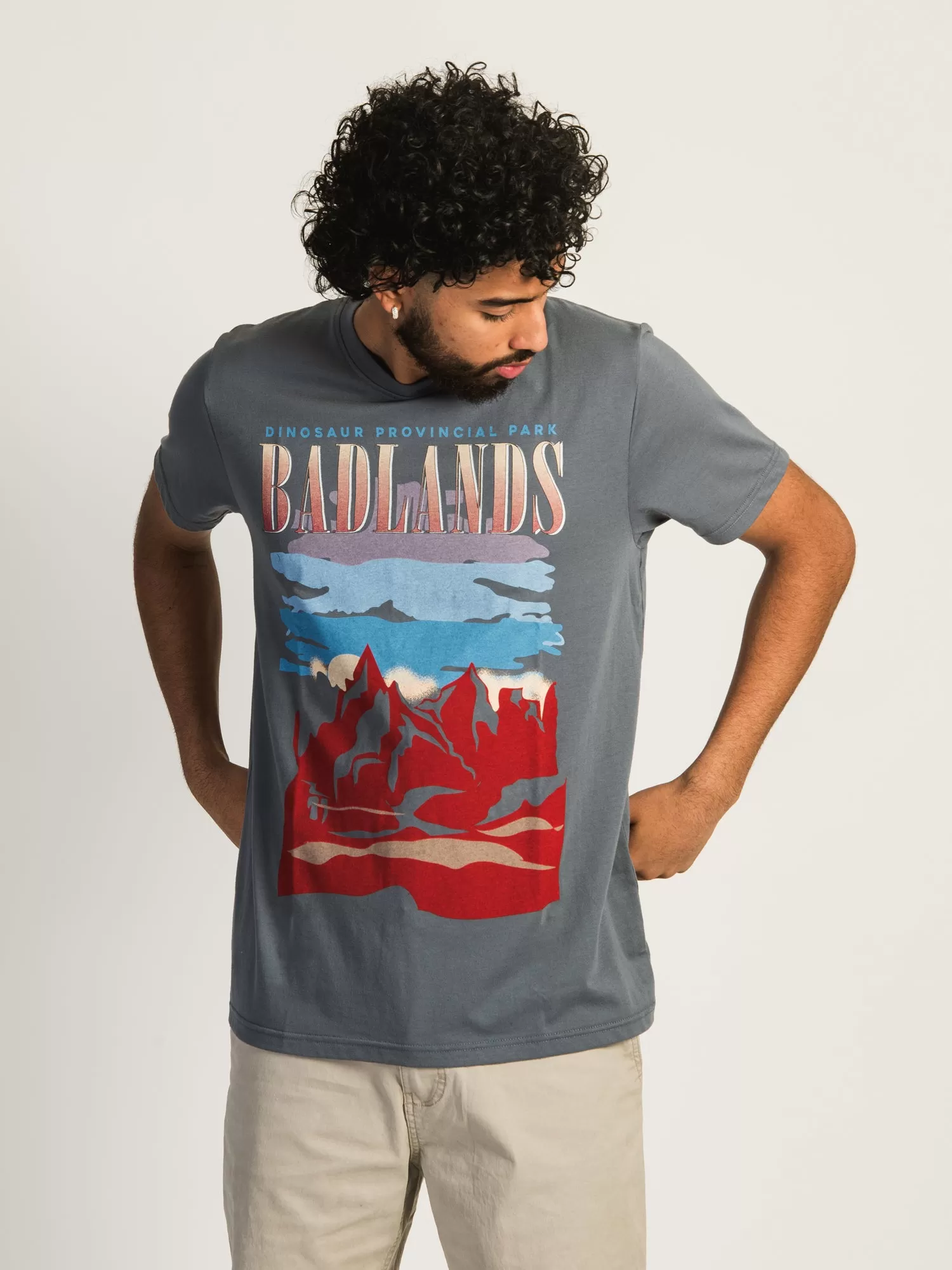 KOLBY ARAMIS SCREEN TEE - BADLANDS