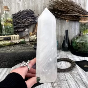 Large Self Standing Clear Quartz Crystal Point / FoxlarkCrystals