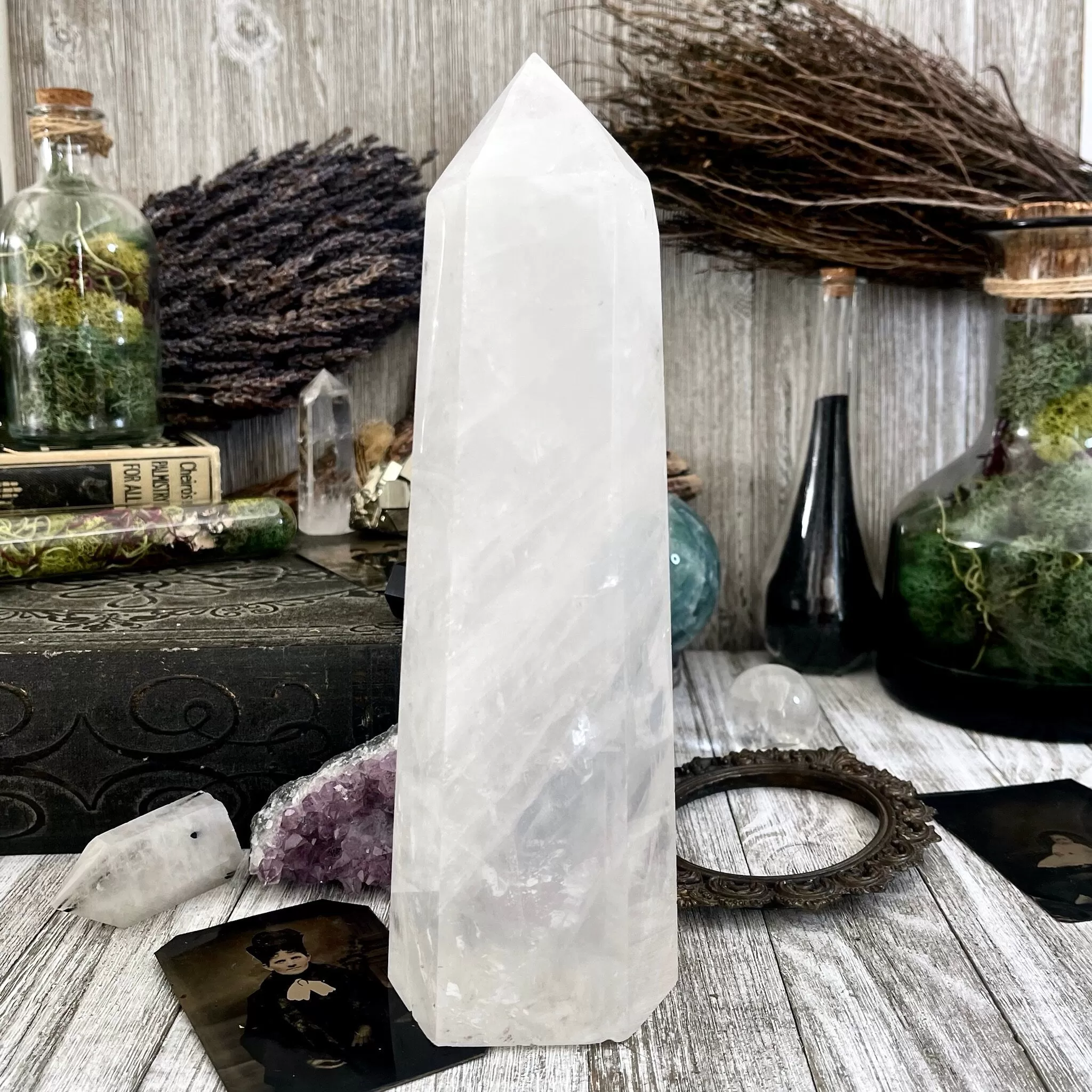 Large Self Standing Clear Quartz Crystal Point / FoxlarkCrystals