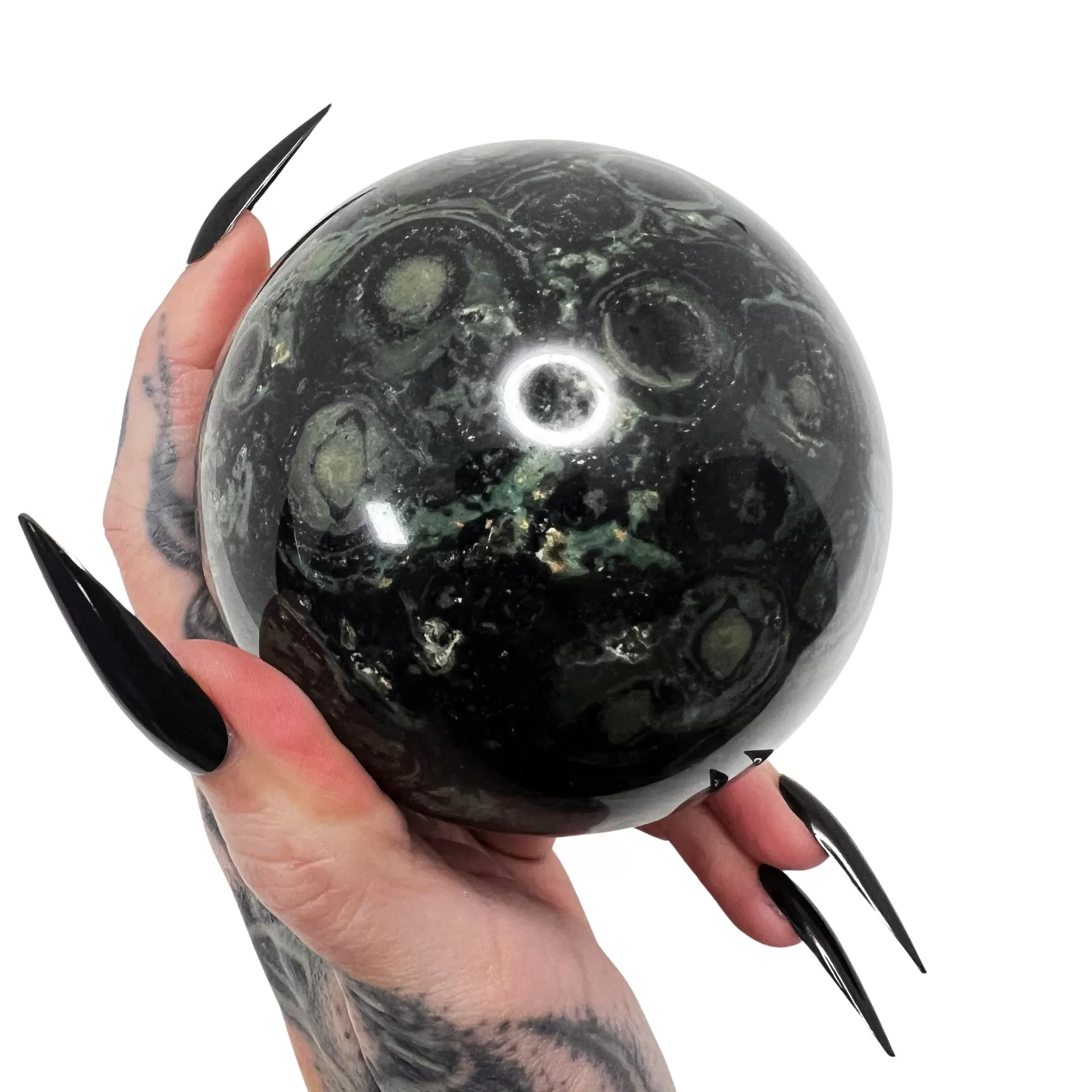 Swamp Witch Kambaba Jasper Sphere 3 *free shipping*